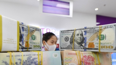 Giá USD ngân hàng tăng lên sát 25.000 đồng