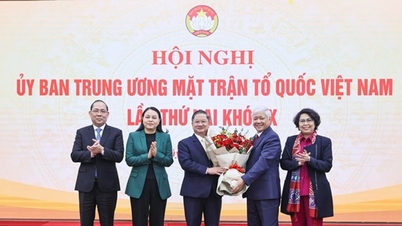 ការពិគ្រោះយោបល់បានជ្រើសរើសលោក Tran Viet Truong ឱ្យកាន់តំណែងជាអនុប្រធានគណៈកម្មាធិការមជ្ឈិមរណសិរ្សមាតុភូមិវៀតណាម។