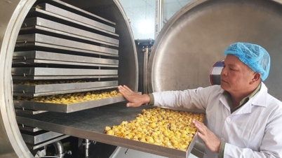 Hiện đại hoá khối doanh nghiệp chế biến nông sản