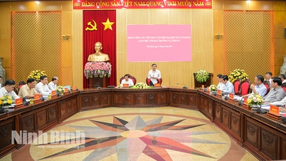 The working delegation of the Party's XIV Congress Document Subcommittee worked with the Provincial Party Standing Committee