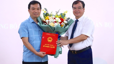 Doctor Nguyen Van Hai holds the position of Director of Hai Duong Children's Hospital