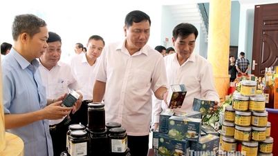Xuất khẩu 6 sản phẩm OCOP sang Vương quốc Anh
