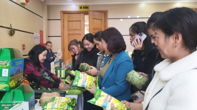 Kết nối cung ứng, tiêu thụ nông sản với các tỉnh phía Bắc
