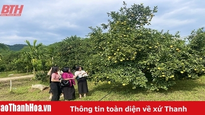 แหล่งท่องเที่ยวบางแห่งยังคงให้นักท่องเที่ยว “ขี่ม้าชมดอกไม้”