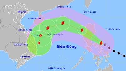 Nghe An ចេញទូរលេខឆ្លើយតបនឹងព្យុះ MAN-YI