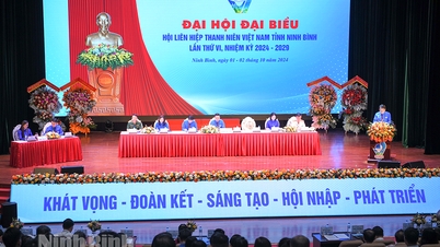 Quyết tâm đưa Nghị quyết Đại hội đại biểu Hội LHTN Việt Nam tỉnh lần thứ VI vào cuộc sống