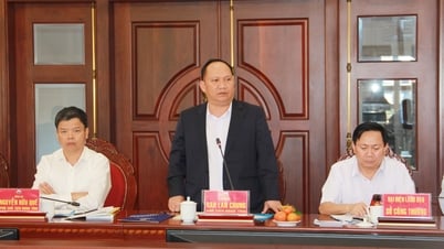 Lãnh đạo UBND tỉnh làm việc với Tổng công ty Điện lực Miền trung