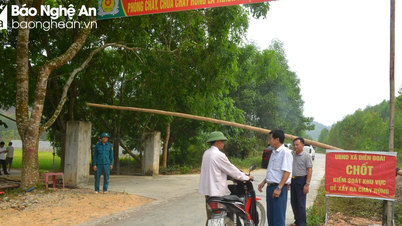 Nghe An: Straining to guard against forest fires on hot days