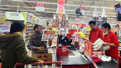 ការព្យាករណ៍អំណាចទិញទំនិញនៅ Hai Duong ក្នុងឱកាសបុណ្យ Tet At Ty កើនឡើង ១០%