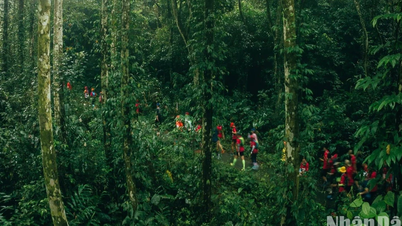 A "bumper" season for Vietnam tourism