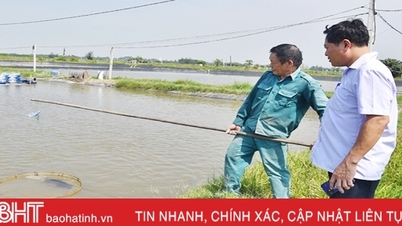 ទាហានឈឺ "នៅតែមានកម្លាំងដើម្បីរួមចំណែកនិងធ្វើការ"