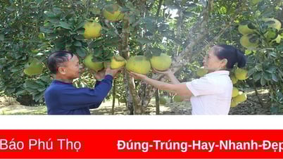 នាំយកដំណោះស្រាយ "កសិកម្មបី" ចូលទៅក្នុងជីវិត