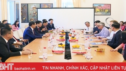 សហគ្រាសអាល្លឺម៉ង់មានបំណងចង់វិនិយោគលើរោងចក្រផលិតដែកតម្លៃ ១,៥ពាន់លានអឺរ៉ូនៅទីក្រុង Ha Tinh