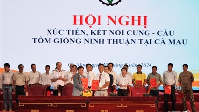NTO - Hội nghị xúc tiến, kết nối cung