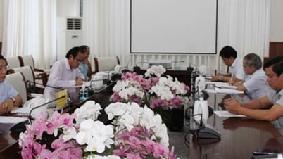 UBND tỉnh họp nghe đề xuất giải pháp quản lý hoạt động nuôi thủy sản, kinh doanh, dịch vụ tại khu vực Đầm Nại