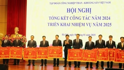 베트남 국립석탄광물산업그룹, 2025년 업무 배치