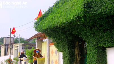 ជំហានឆ្ពោះទៅមុខក្នុងការកសាងជនបទគំរូថ្មីនៅទីក្រុង Nghe An