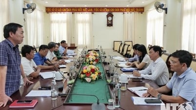 ក្រុមប្រឹក្សាភិបាលនៃកាសែត Ninh Thuan ធ្វើការជាមួយគណៈកម្មាធិការអចិន្ត្រៃយ៍នៃគណៈកម្មាធិការបក្សស្រុក Ninh Hai