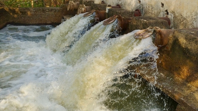 Binh Giang and Gia Loc are ready to install field pumping stations to pump flood water.
