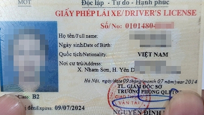 ตั้งแต่เดือนมกราคม 2568 เป็นต้นไป จำนวนประเภทใบอนุญาตขับขี่จะเพิ่มเป็น 15 ประเภท