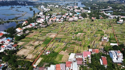 ភូមិទេសចរណ៍ល្អបំផុតទាំងបីរបស់ពិភពលោកនៅវៀតណាម