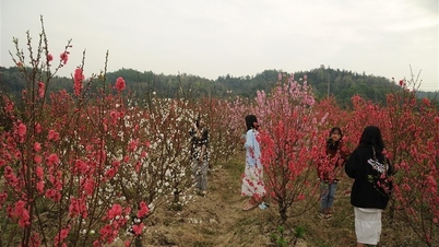 Finalize the 7-day Lunar New Year holiday schedule for 2023