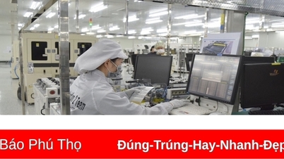 Phu Tho leads the country in the growth index of processing and manufacturing industry.