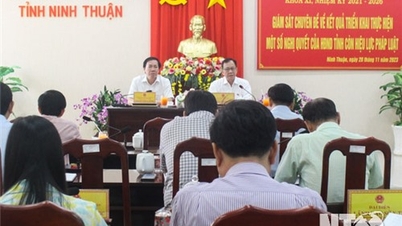 គណៈប្រតិភូត្រួតពិនិត្យរបស់ក្រុមប្រឹក្សាប្រជាជនខេត្តបានធ្វើការជាមួយគណៈកម្មាធិការប្រជាជនខេត្ត
