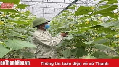 การเชื่อมโยงการผลิตและการบริโภคผลิตภัณฑ์พืชฤดูหนาว