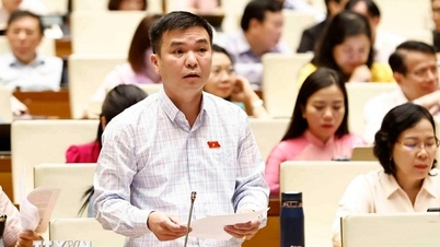 Thông cáo báo chí số 4, Kỳ họp thứ 8, Quốc hội khóa XV