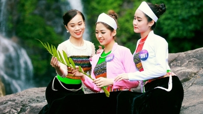 បញ្ឈប់ការប្រលងបវរកញ្ញាវៀតណាម
