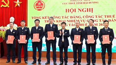 Năm 2025, Hải Dương phấn đấu tỷ lệ tăng thu thuế nội địa tiếp tục ở mức 2 con số