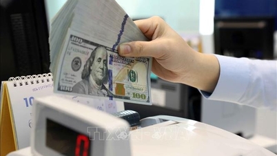 តម្លៃ USD នៅថ្ងៃទី 26 ខែកញ្ញាបានបន្តធ្លាក់ចុះ តម្លៃ CNY បានកែតម្រូវបន្តិច