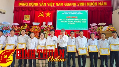 Binh Thuan Forestry One Member Co., Ltd.៖ ក្នុងឆ្នាំ 2023 ប្រាក់ចំណូលសម្រេចបាន 107.4% នៃផែនការ