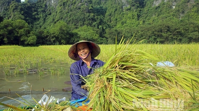 រដូវកាលរីករាយនៅ Tam Coc