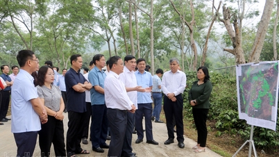 Ban Thường vụ Tỉnh ủy làm việc tại huyện Mường Ảng