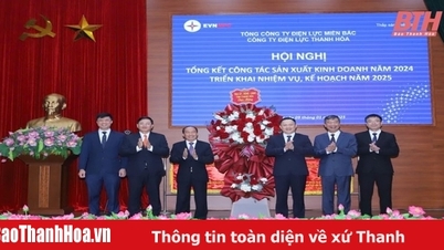 Thanh Hoa Electricity Company successfully completed its 2024 production and business plan.