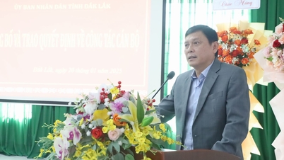 Anuncio y adjudicación de la decisión de nombrar al Director del Departamento de Cultura, Deportes y Turismo de la provincia de Dak Lak