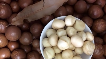 ដំណើរកសាងម៉ាកយីហោពី Dak Nong
