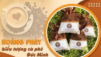 Hoàng Phát - biểu tượng cà phê Đức Minh