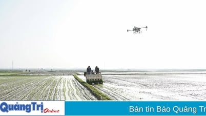 Acting Chairman of the Provincial People's Committee Ha Sy Dong inspected the production situation at the beginning of the winter-spring crop.