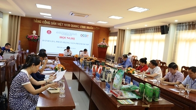 Hội đồng OCOP cấp tỉnh đánh giá phân hạng 22 sản phẩm của 6 huyện