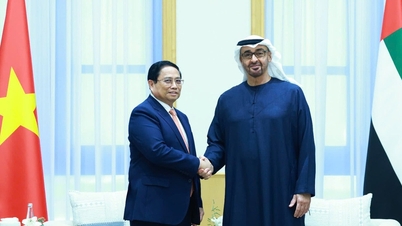 UAE គឺជាដៃគូគ្រប់ជ្រុងជ្រោយដំបូងរបស់វៀតណាមនៅមជ្ឈិមបូព៌ា