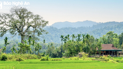 Nghe An ព្យាករណ៍អាកាសធាតុថ្ងៃទី ១៥ ឧសភា