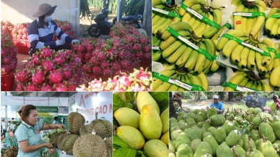 ការ​នាំ​ចេញ​កសិផល​ឡើង​ដល់​កម្រិត​ខ្ពស់​បំផុត​