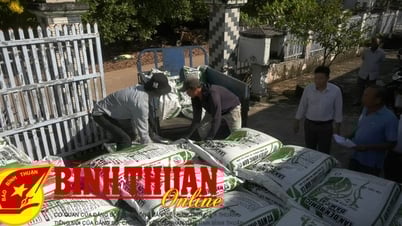 Cấp phát hỗ trợ phân bón vi sinh sản xuất lúa