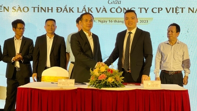 Hội Yến sào Đắk Lắk: Ký kết hợp tác cung ứng - xuất khẩu yến sào