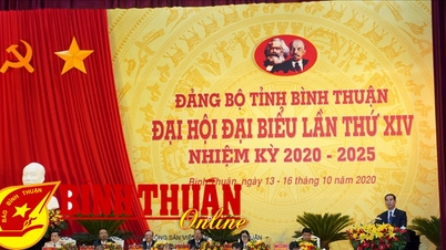 “Quả ngọt” những năm đầu gian khó. Bài 1