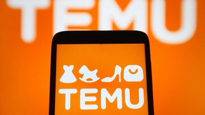 Temu stops operations in Vietnam