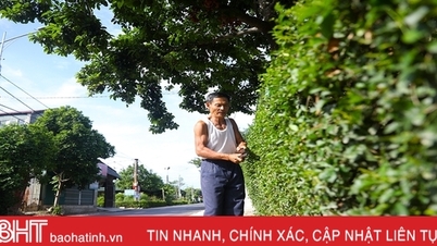 Peaceful space in the new rural countryside in Ky Anh town